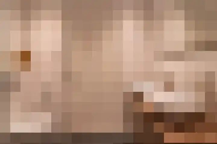 Sportlaan 13 Almkerk thumbnail 23