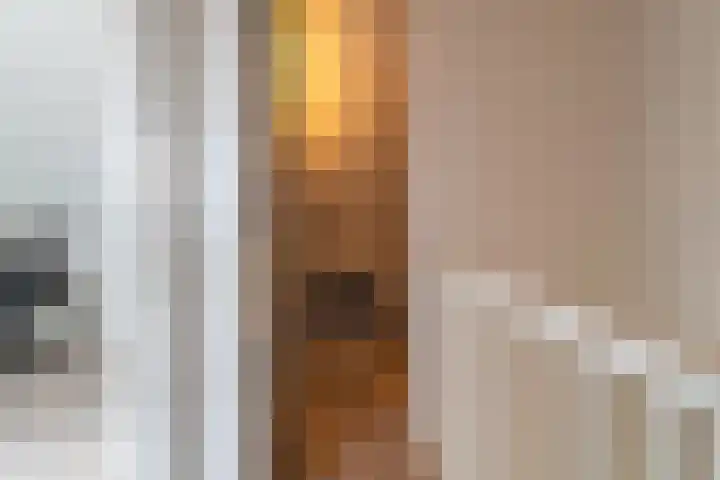 Sportlaan 13 Almkerk thumbnail 24