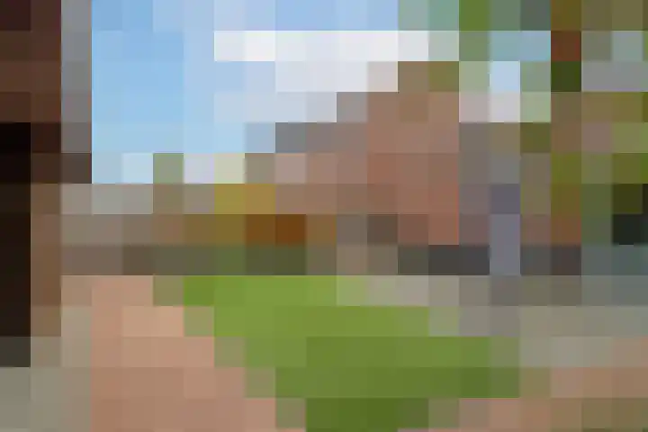 Sportlaan 13 Almkerk thumbnail 28