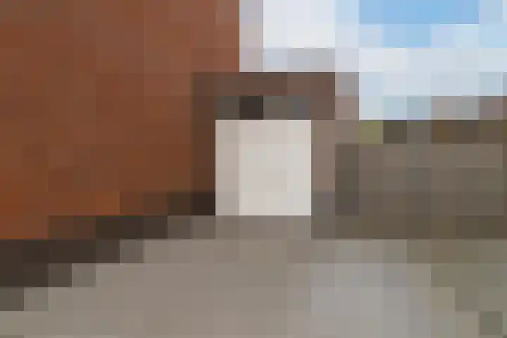 Sportlaan 13 Almkerk thumbnail 32