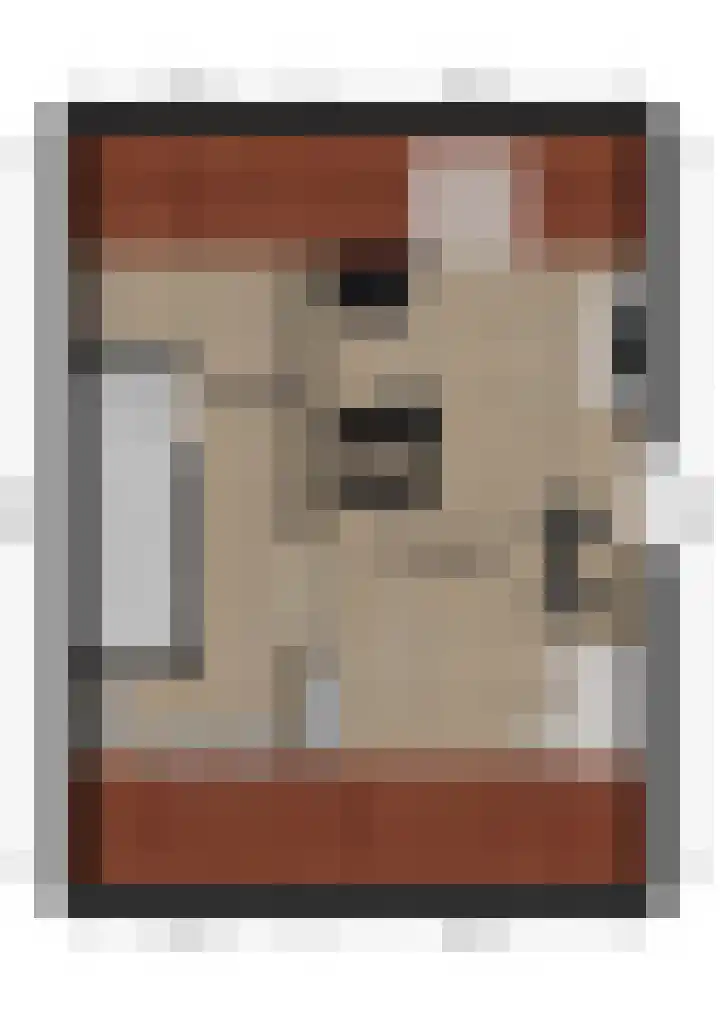 Sportlaan 13 Almkerk thumbnail 38