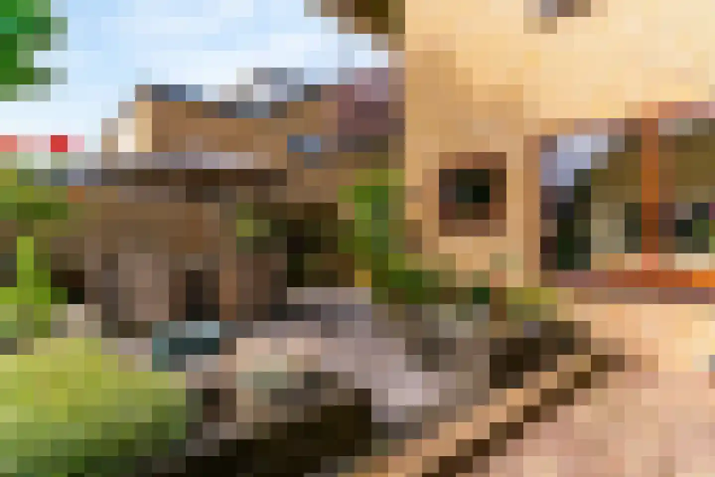 Sportlaan 13 Limmen thumbnail 37