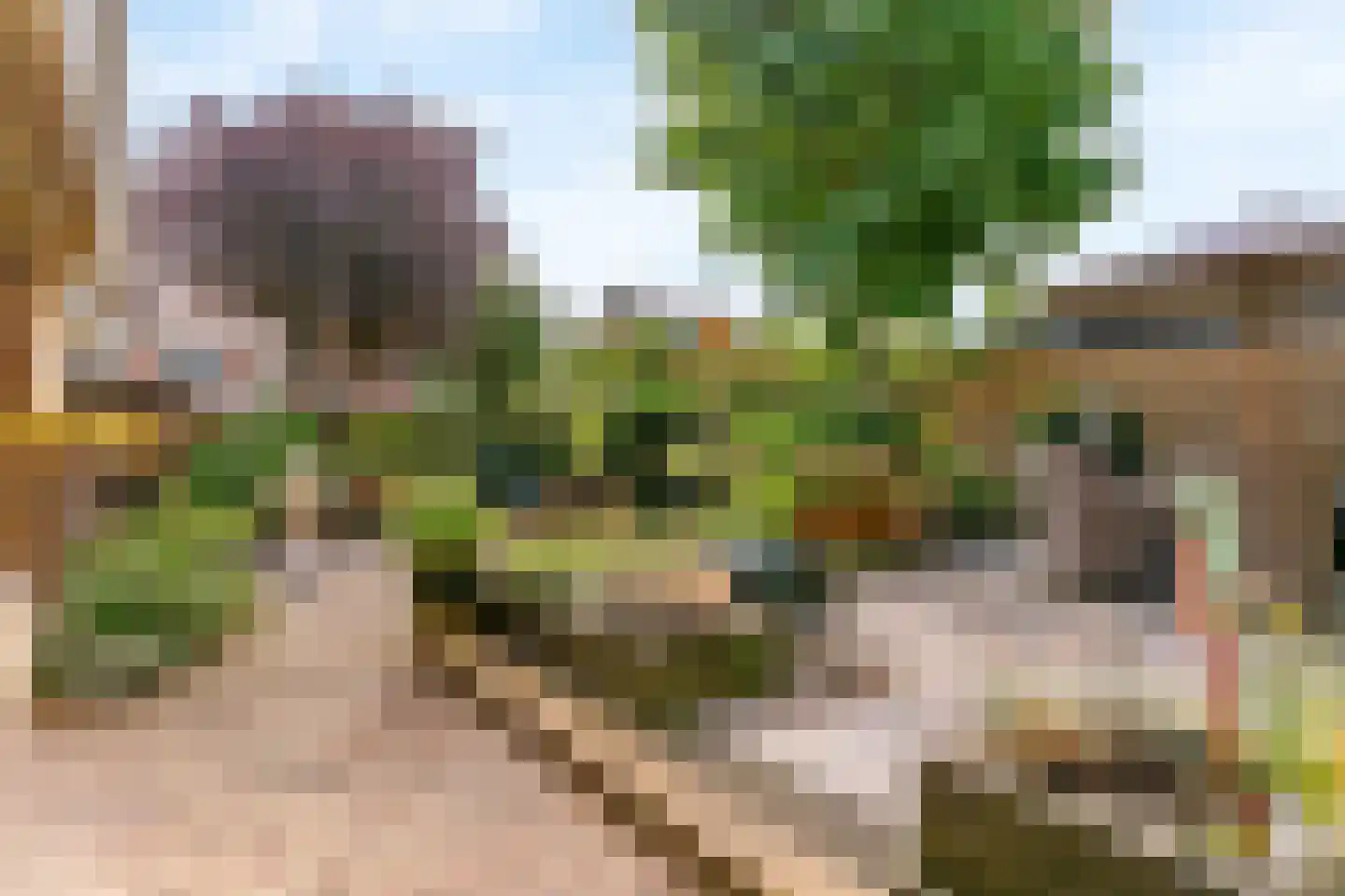 Sportlaan 13 Limmen thumbnail 42