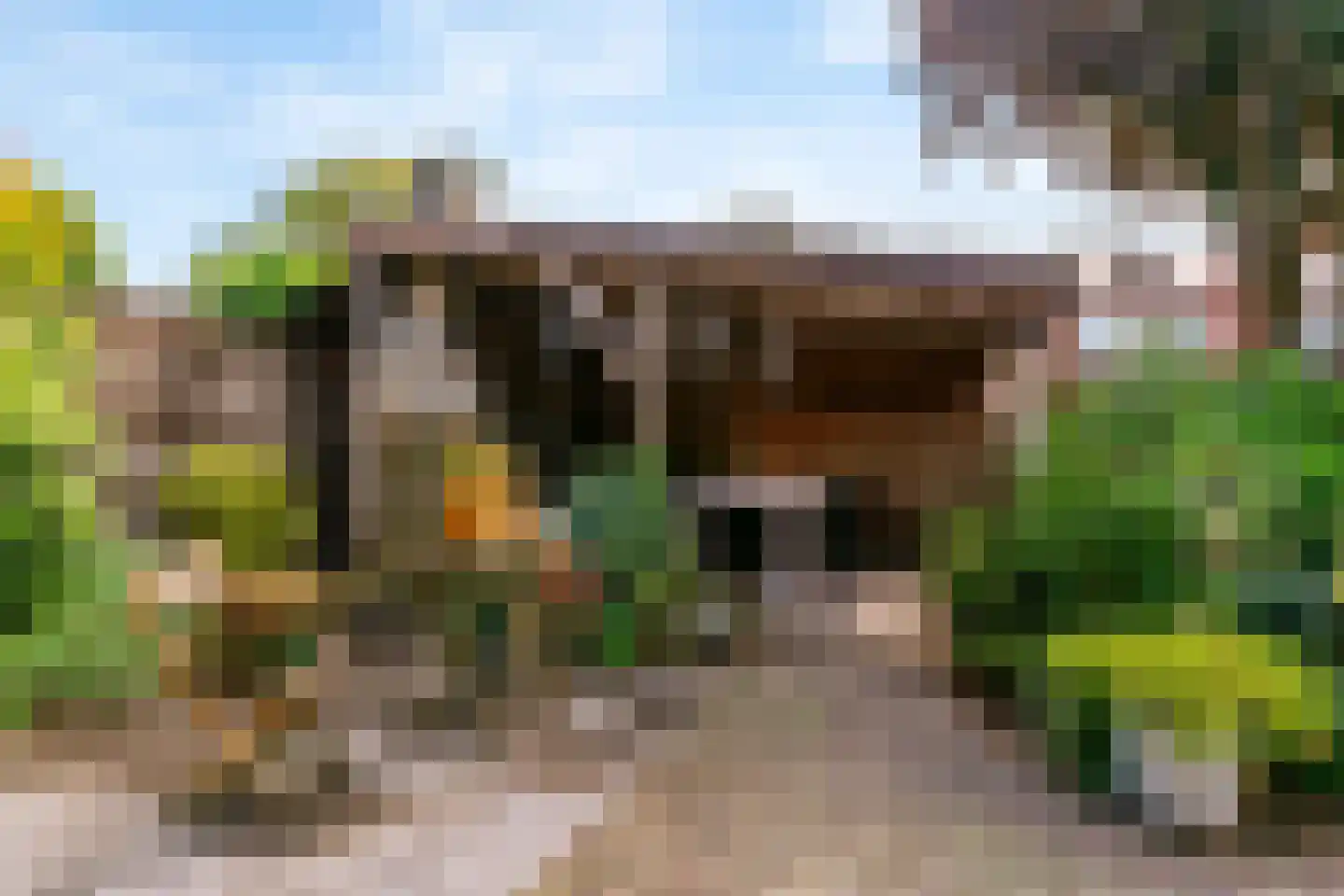 Sportlaan 13 Limmen thumbnail 45