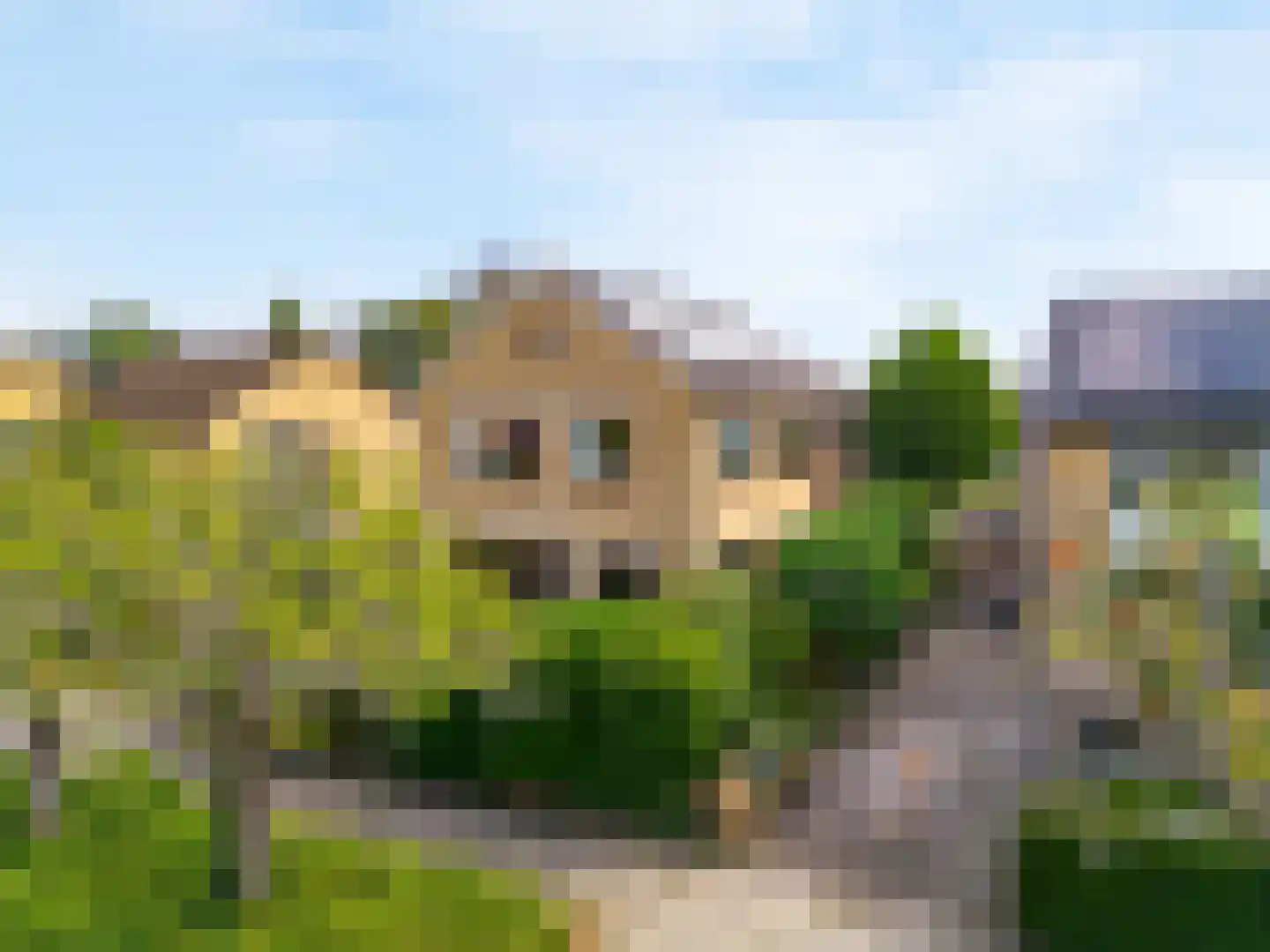 Sportlaan 13 Limmen thumbnail 50
