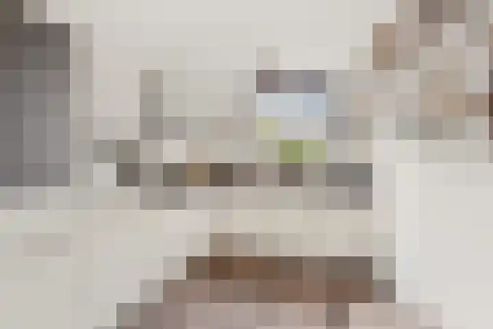 Sportlaan 13 Ouderkerk aan den IJssel thumbnail 17