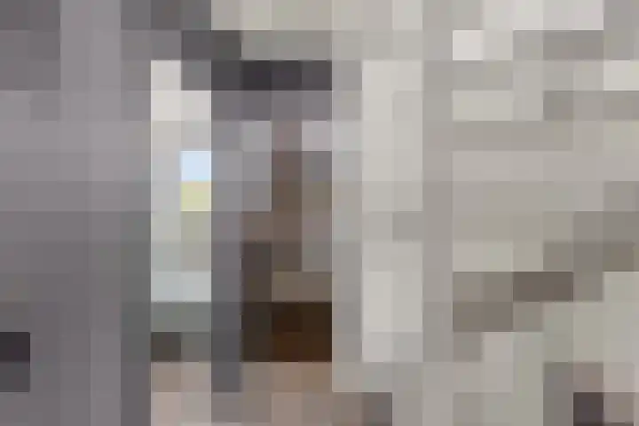Sportlaan 13 Ouderkerk aan den IJssel thumbnail 21