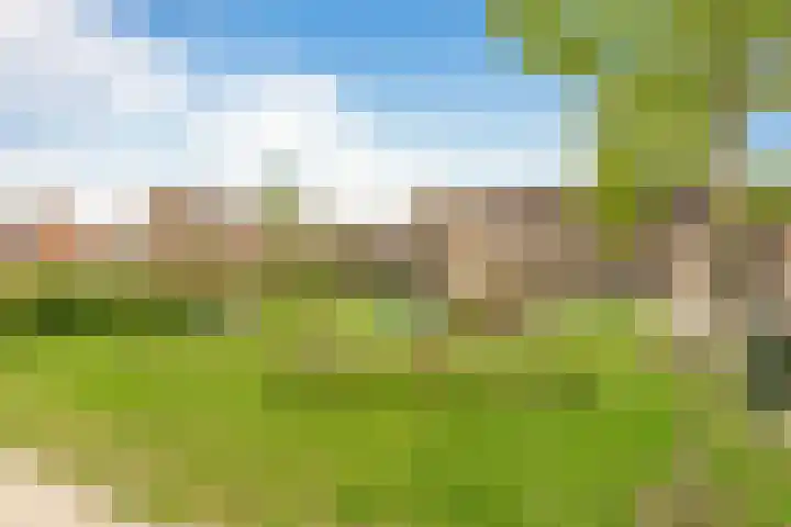 Sportlaan 13 Ouderkerk aan den IJssel thumbnail 37