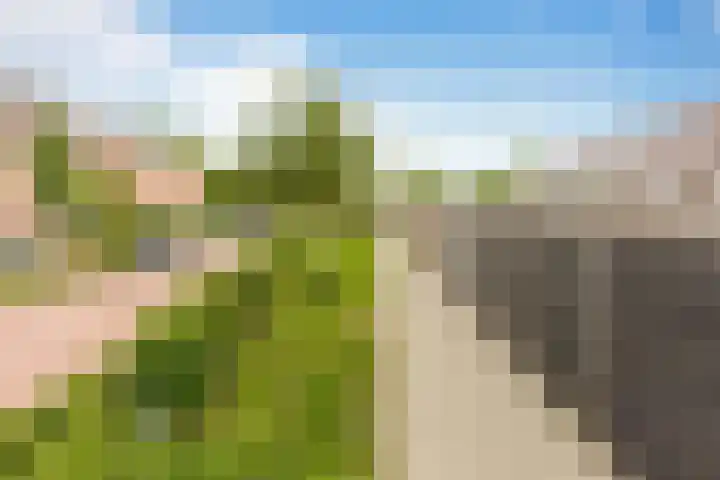 Sportlaan 13 Ouderkerk aan den IJssel thumbnail 38