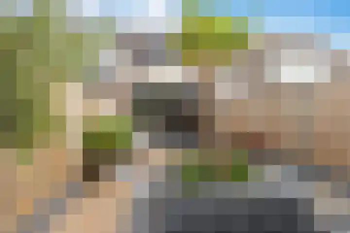 Sportlaan 13 Ouderkerk aan den IJssel thumbnail 45