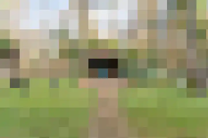 Sportlaan 133 Bergentheim thumbnail 30