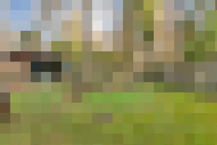 Sportlaan 133 Bergentheim thumbnail 31