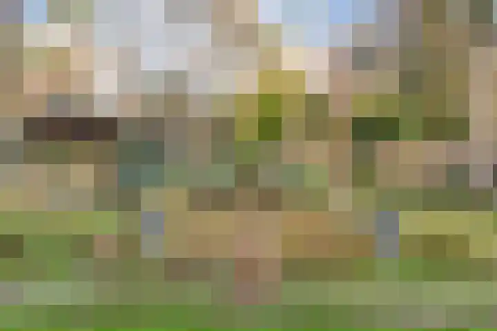 Sportlaan 133 Bergentheim thumbnail 32