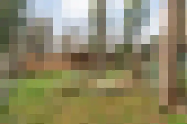 Sportlaan 133 Bergentheim thumbnail 33