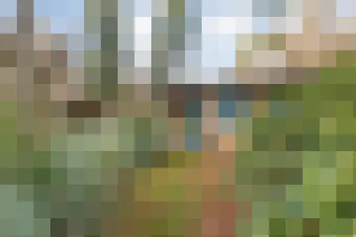 Sportlaan 133 Bergentheim thumbnail 34