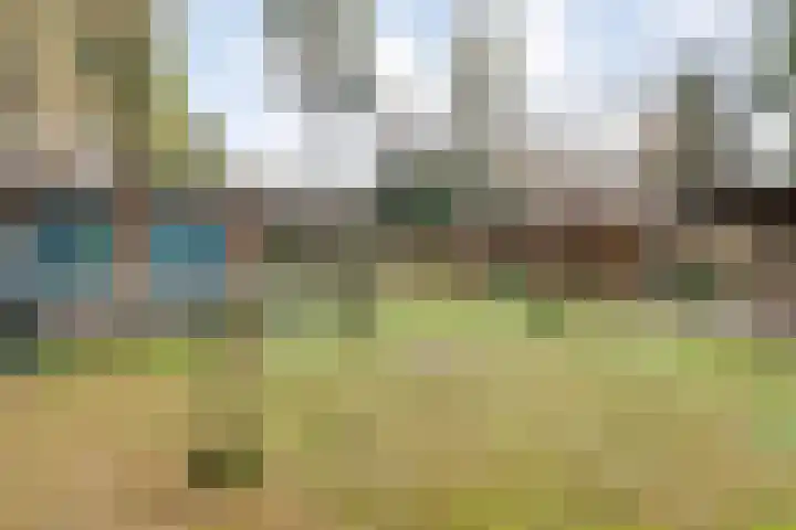 Sportlaan 133 Bergentheim thumbnail 40