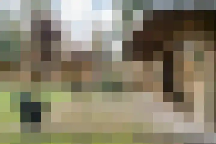 Sportlaan 133 Bergentheim thumbnail 41