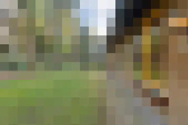 Sportlaan 133 Bergentheim thumbnail 44