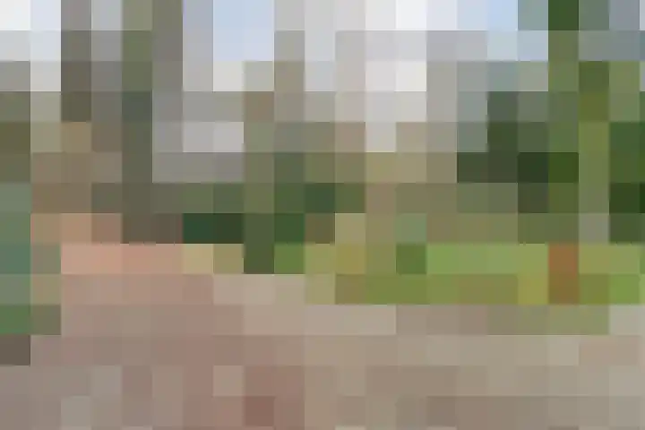 Sportlaan 133 Bergentheim thumbnail 46