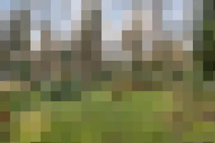 Sportlaan 133 Bergentheim thumbnail 48