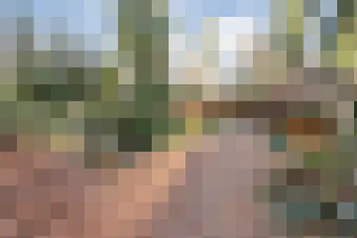 Sportlaan 133 Bergentheim thumbnail 49