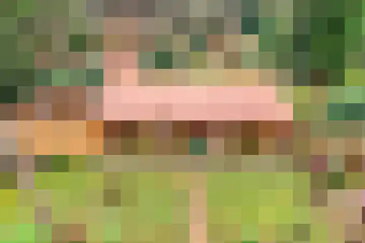 Sportlaan 133 Bergentheim thumbnail 50