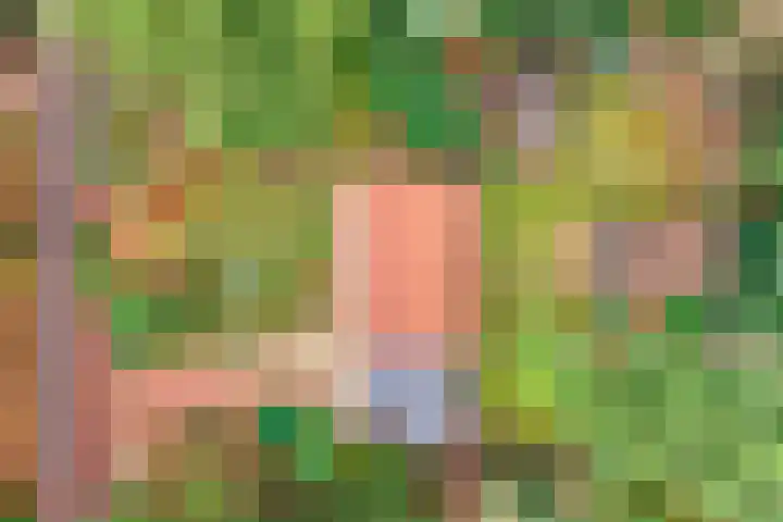 Sportlaan 133 Bergentheim thumbnail 53