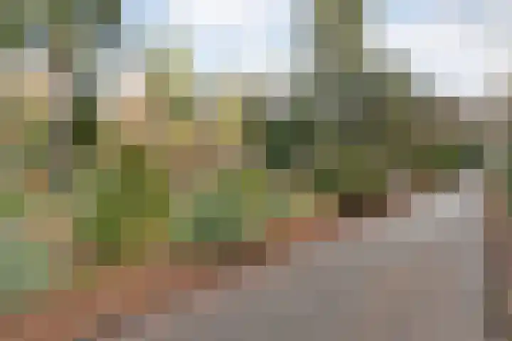 Sportlaan 133 Bergentheim thumbnail 54