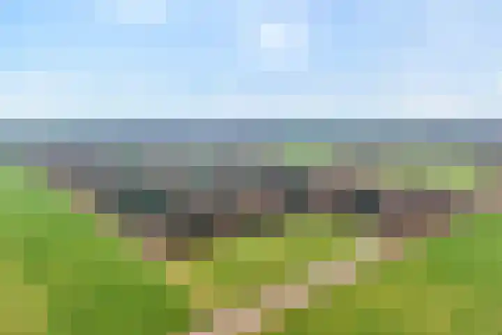 Sportlaan 133 Bergentheim thumbnail 55