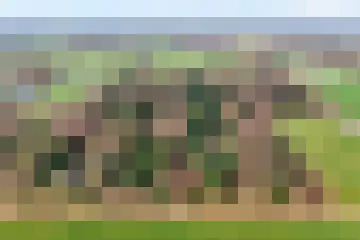 Sportlaan 133 Bergentheim thumbnail 57