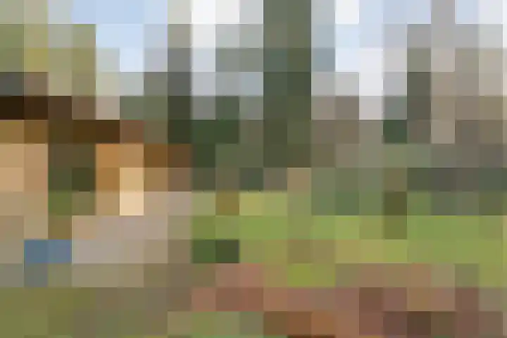 Sportlaan 133 Bergentheim thumbnail 7