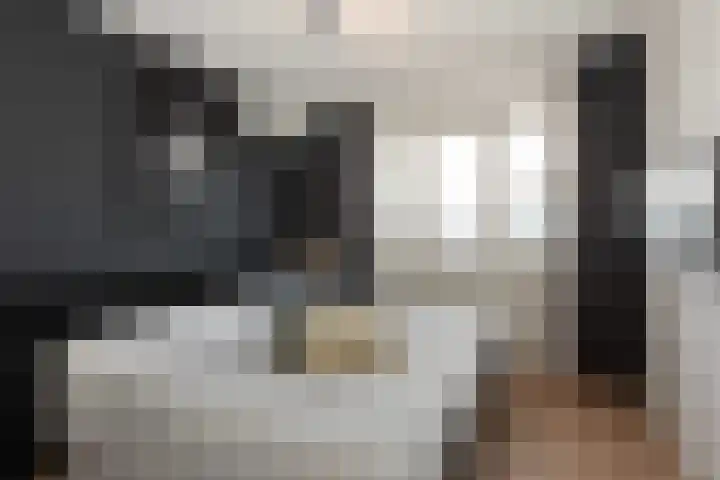 Sportlaan 14 a Vriezenveen thumbnail 22