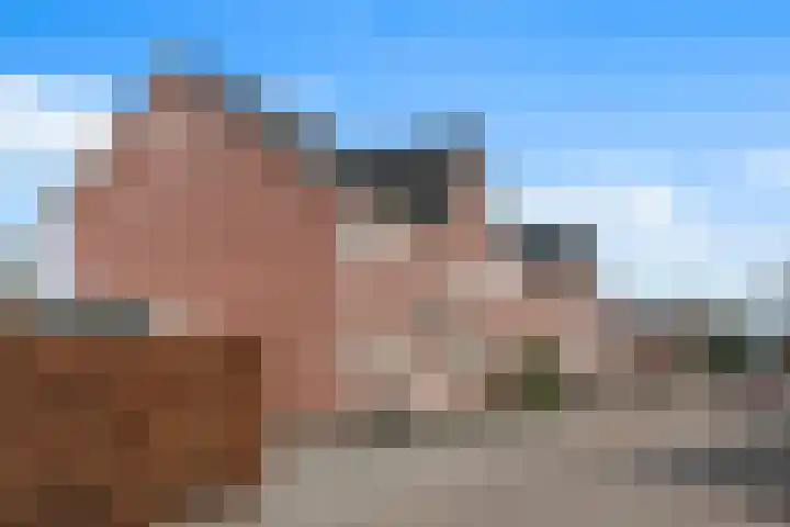 Sportlaan 14 a Vriezenveen thumbnail 37