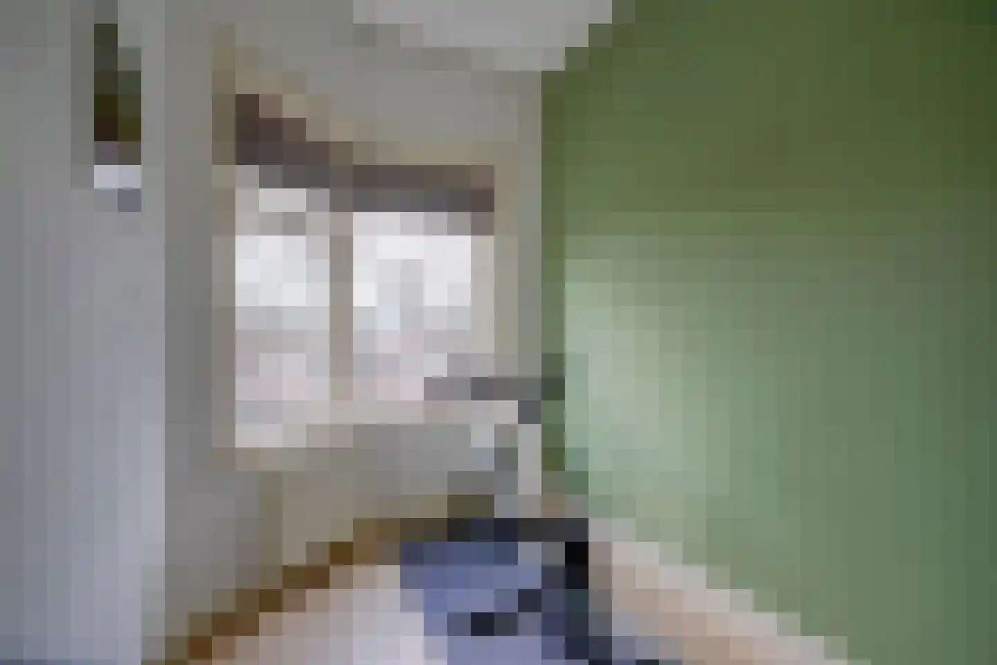 Sportlaan 14 a Vriezenveen thumbnail 39