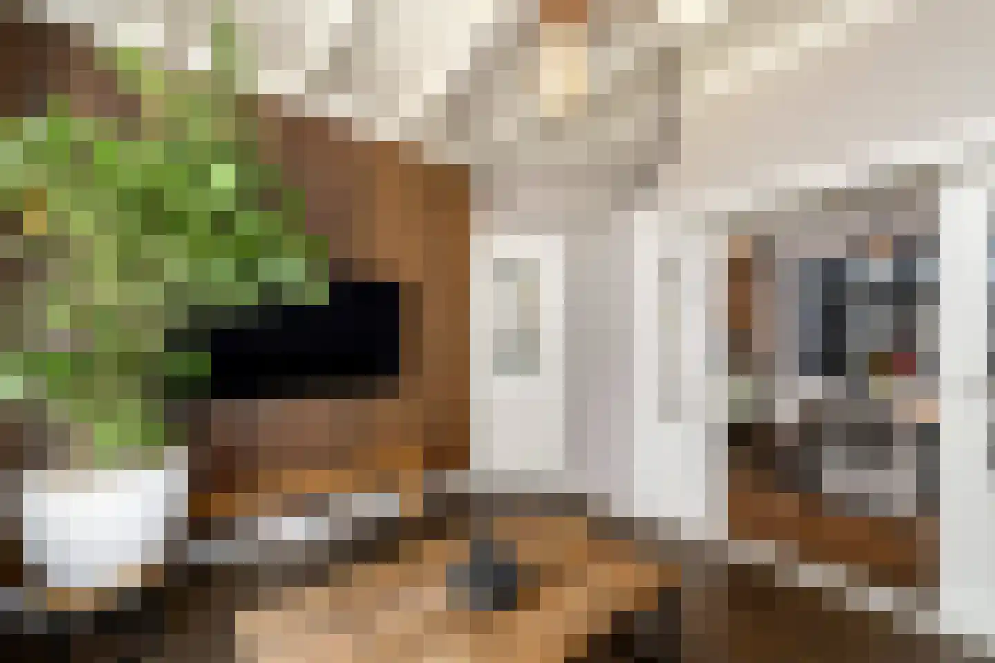 Sportlaan 14 a Vriezenveen thumbnail 43