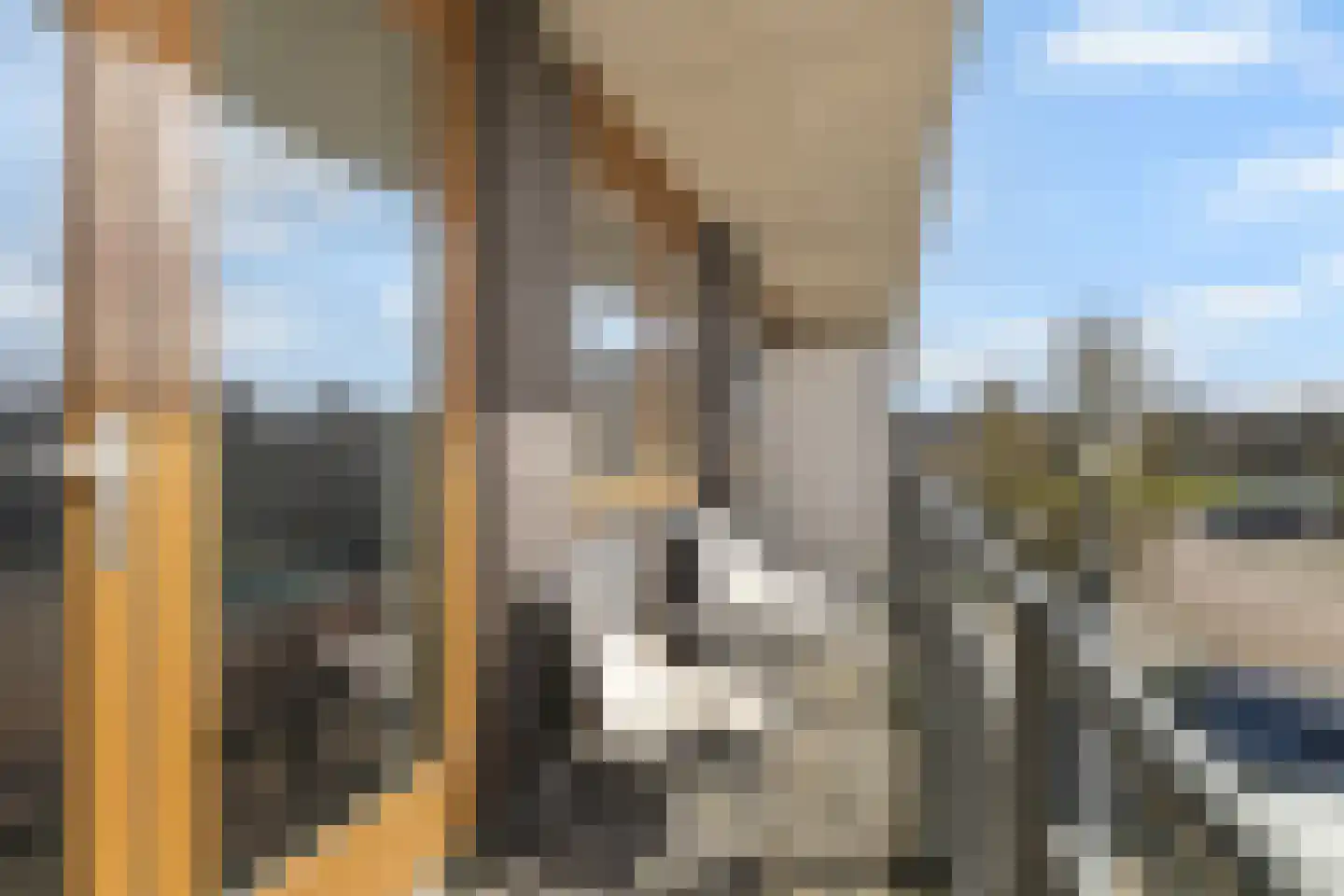 Sportlaan 14 C Den Helder thumbnail 9