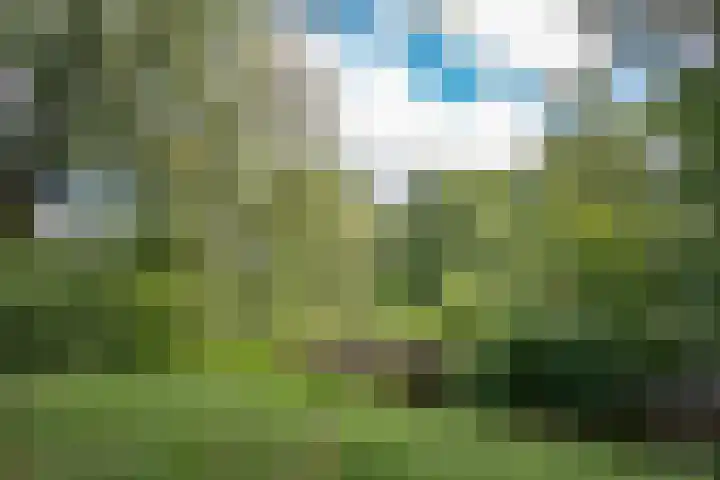 Sportlaan 146 Amstelveen thumbnail 20