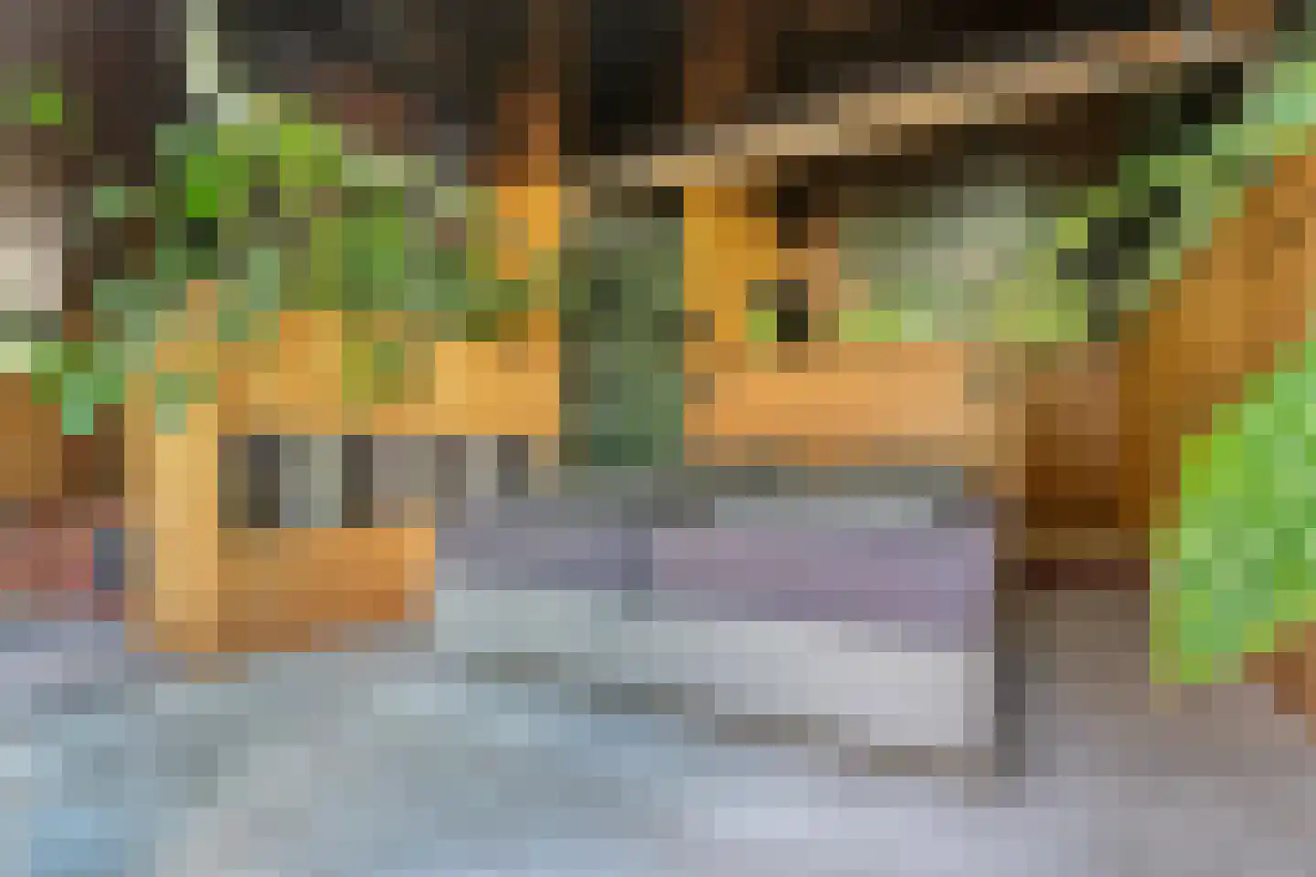 Sportlaan 15 Bergentheim thumbnail 36