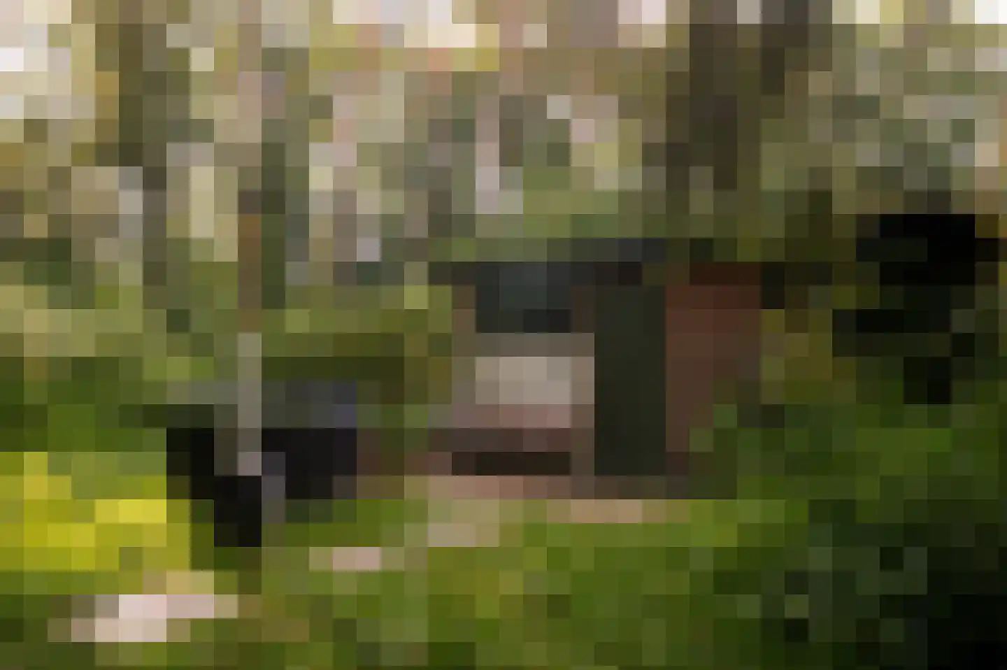 Sportlaan 15 Bergentheim thumbnail 4