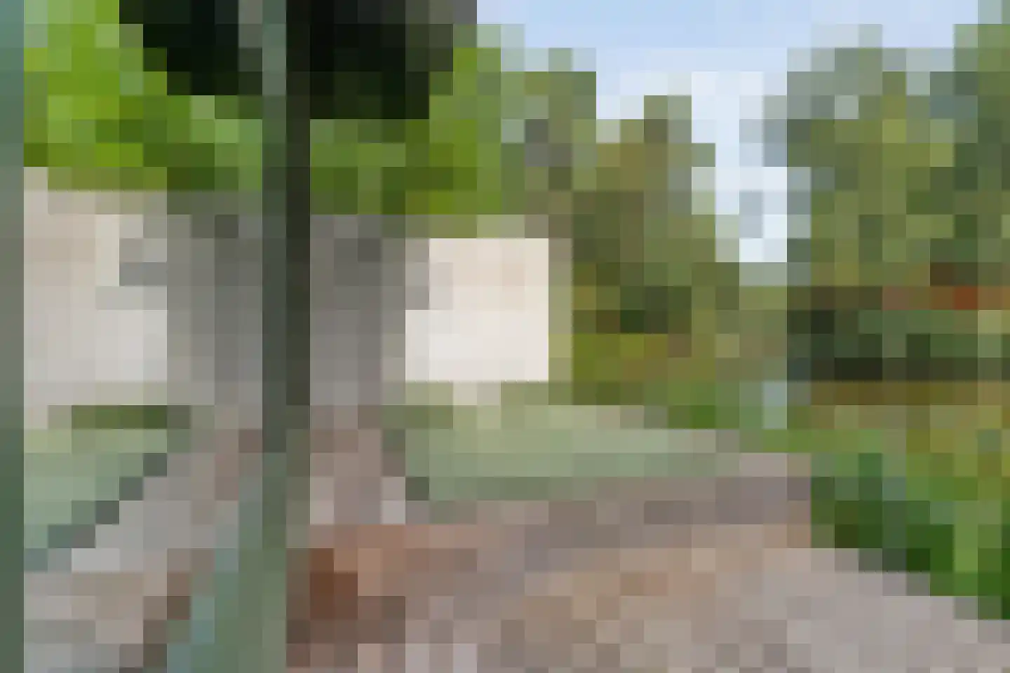 Sportlaan 15 Bergentheim thumbnail 50