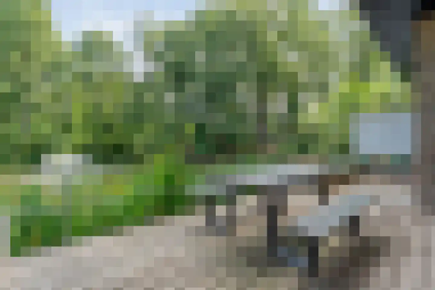 Sportlaan 15 Bergentheim thumbnail 52