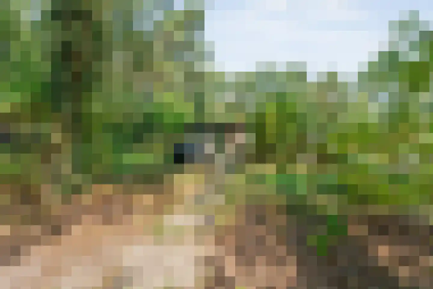 Sportlaan 15 Bergentheim thumbnail 56