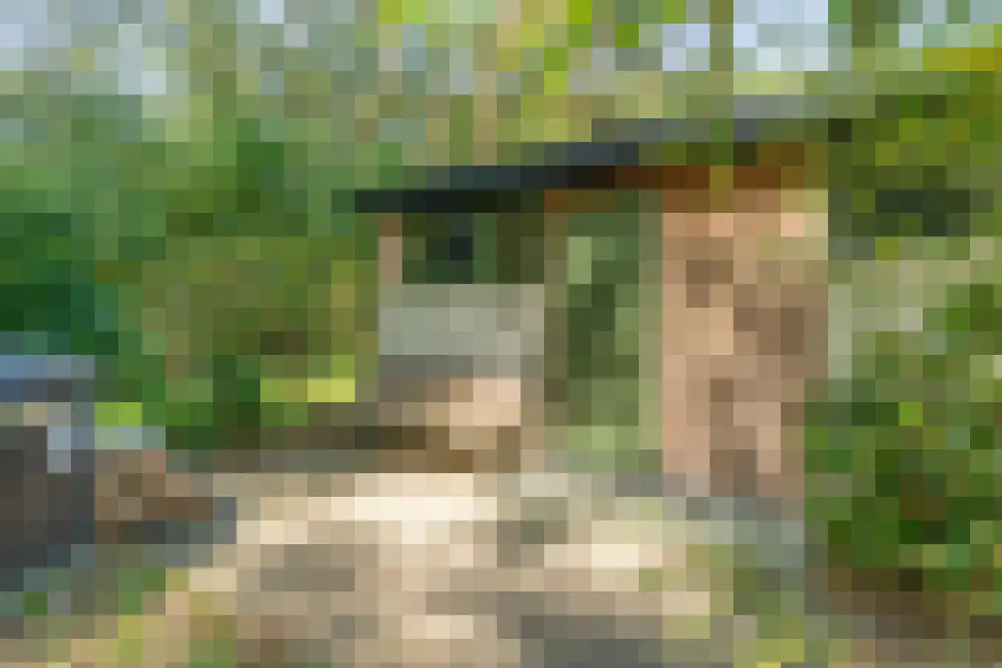 Sportlaan 15 Bergentheim thumbnail 57