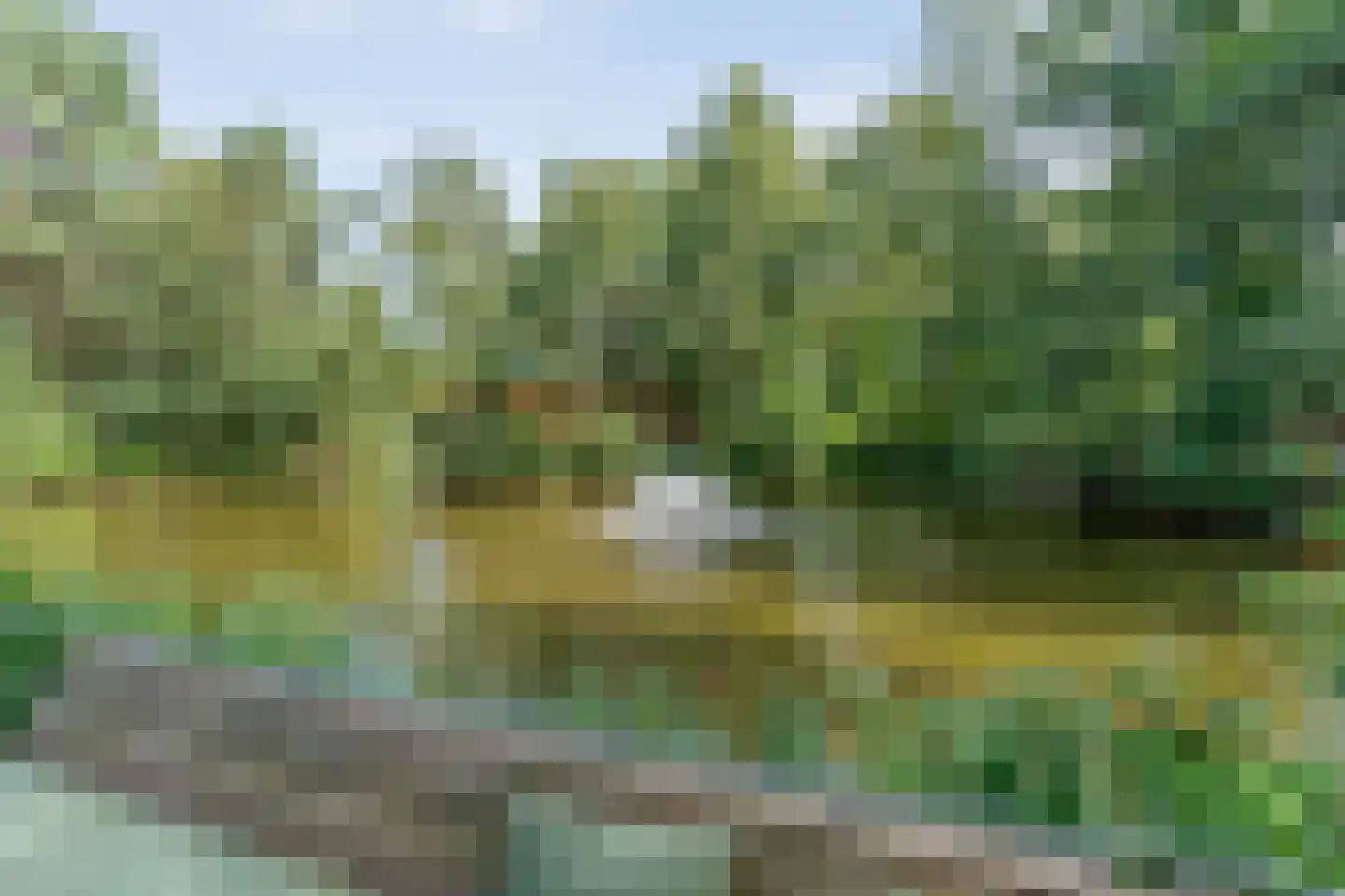 Sportlaan 15 Bergentheim thumbnail 58