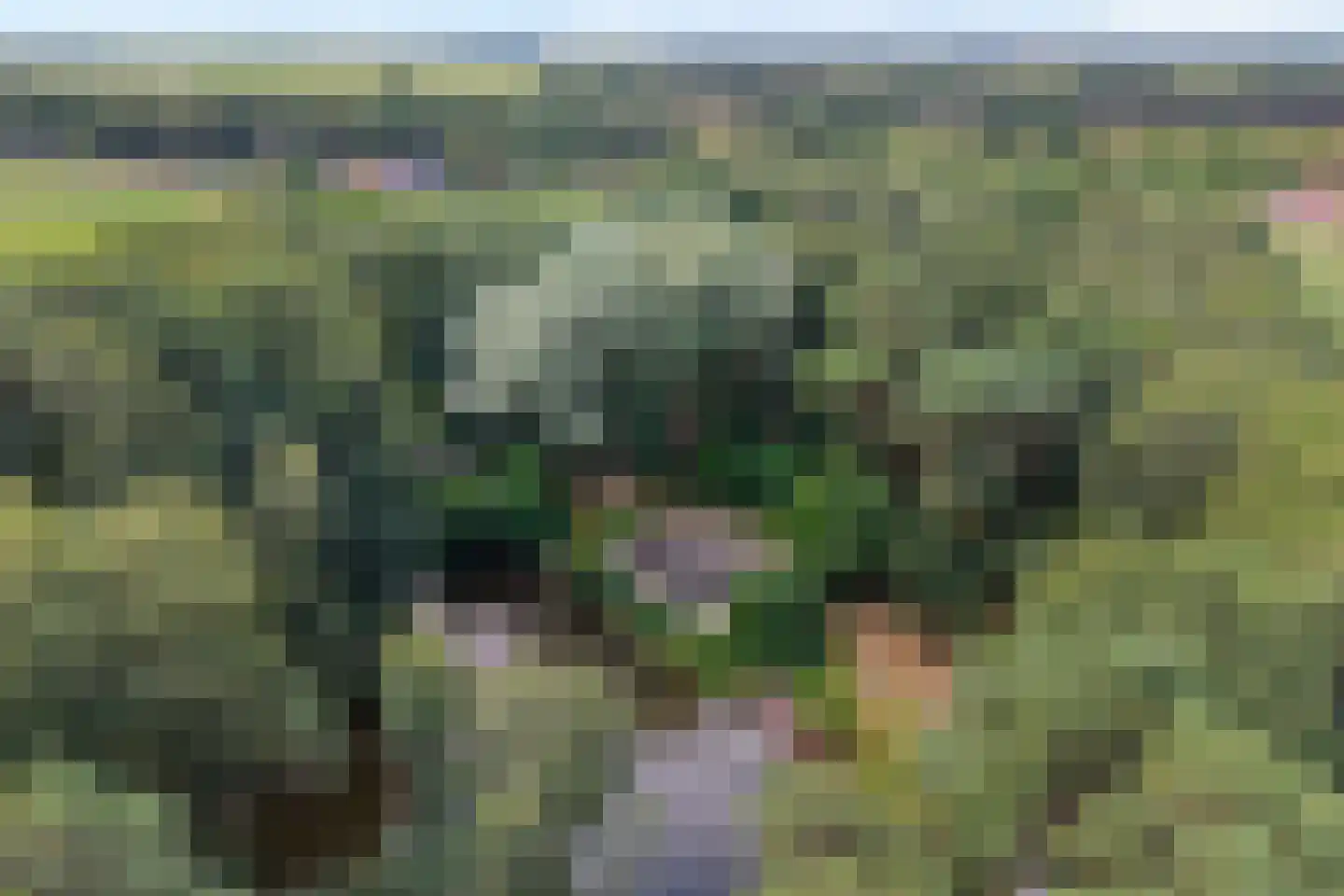 Sportlaan 15 Bergentheim thumbnail 6