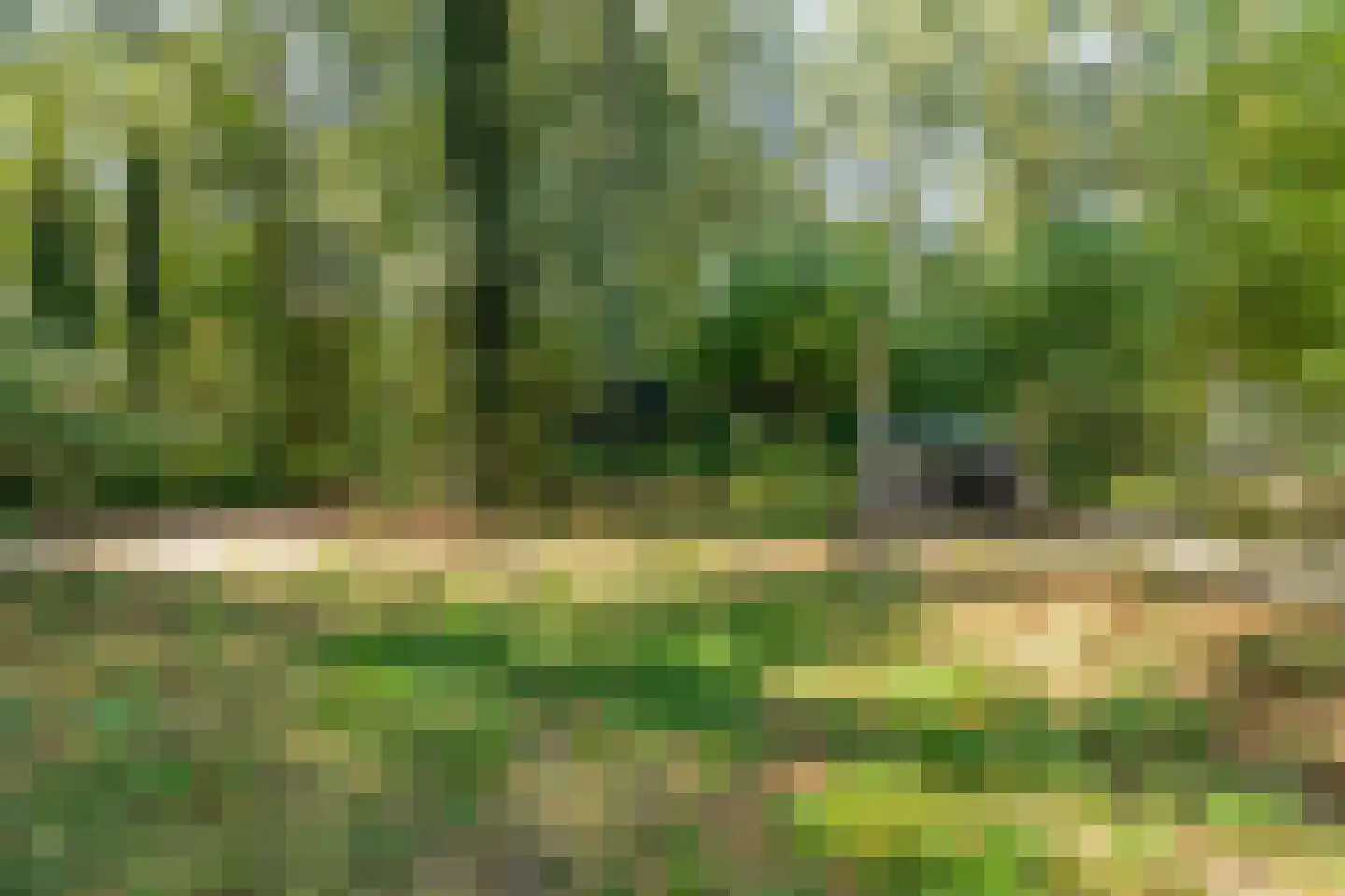 Sportlaan 15 Bergentheim thumbnail 65