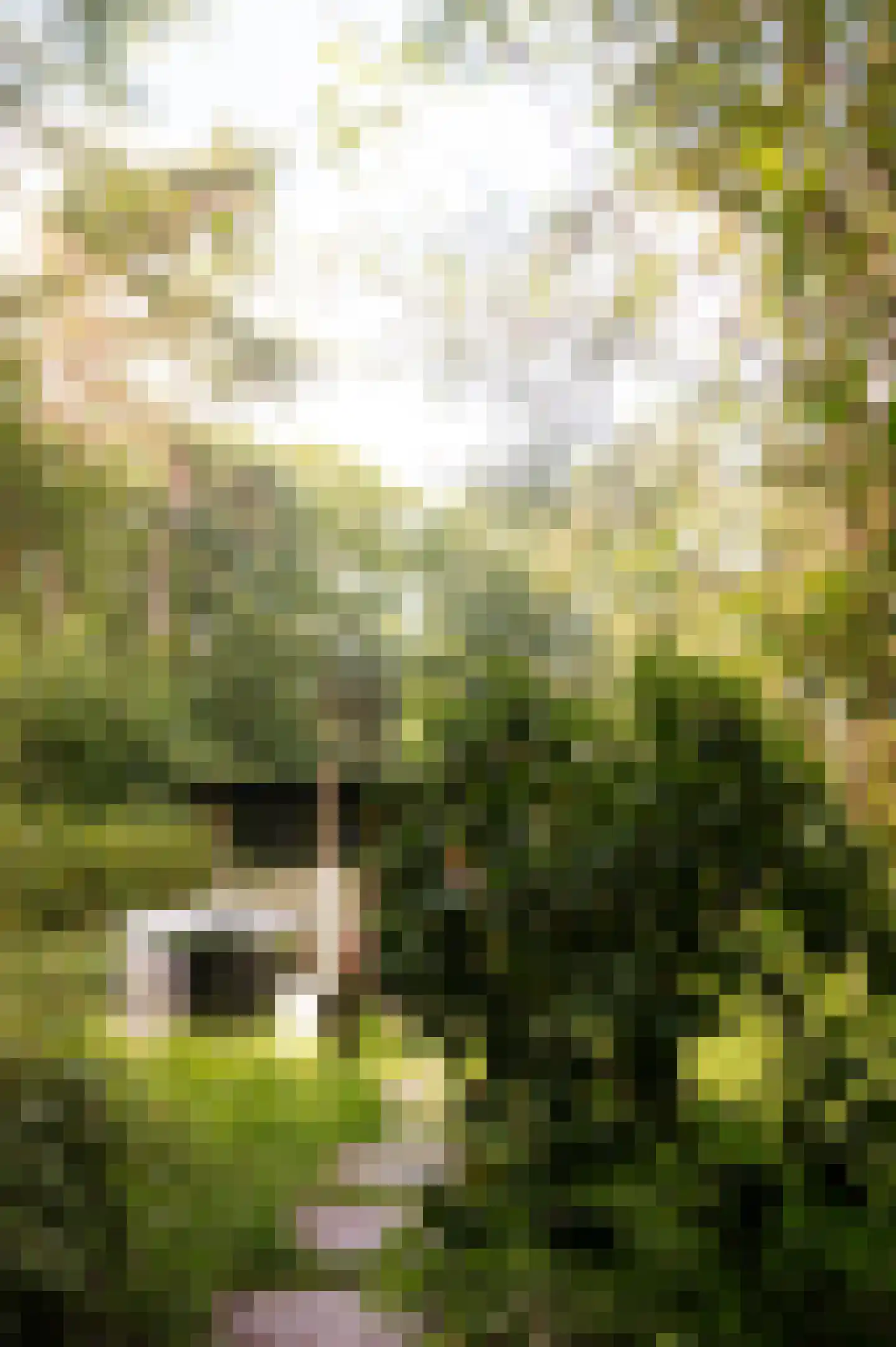 Sportlaan 15 Bergentheim thumbnail 70