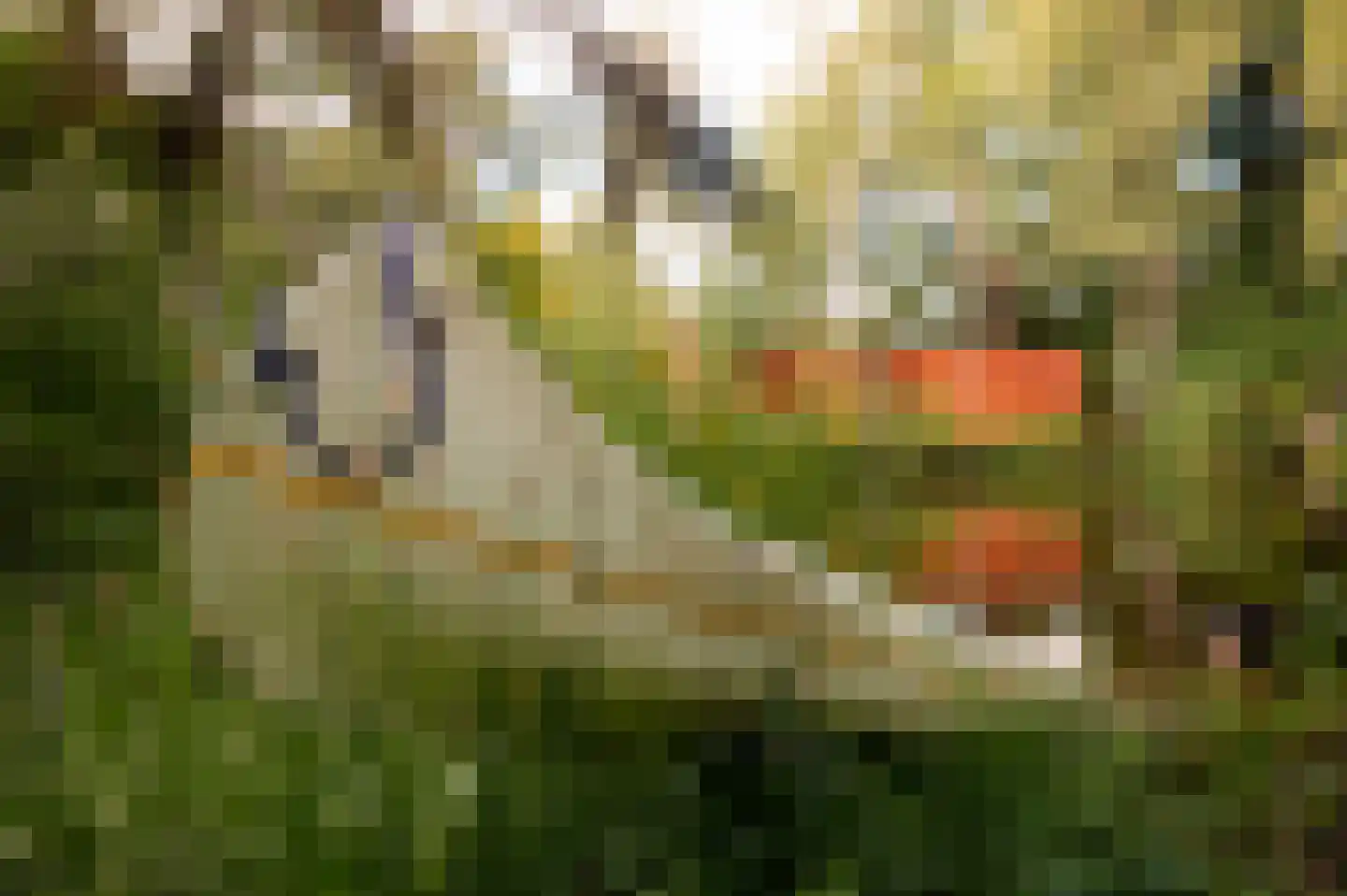 Sportlaan 15 Bergentheim thumbnail 72