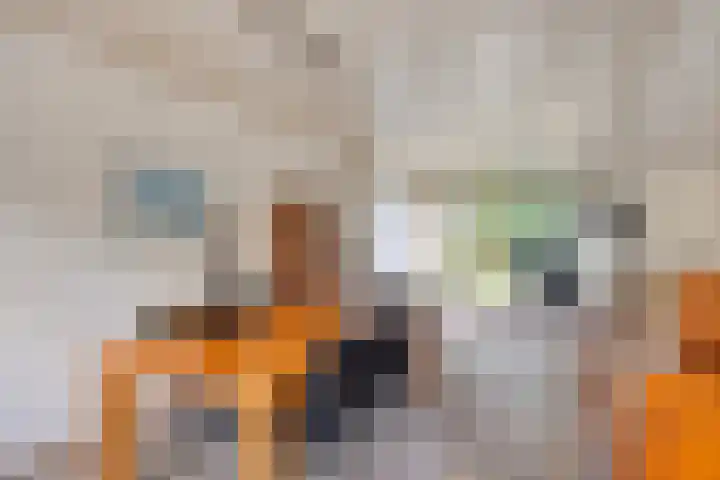 Sportlaan 15 Dongen thumbnail 13