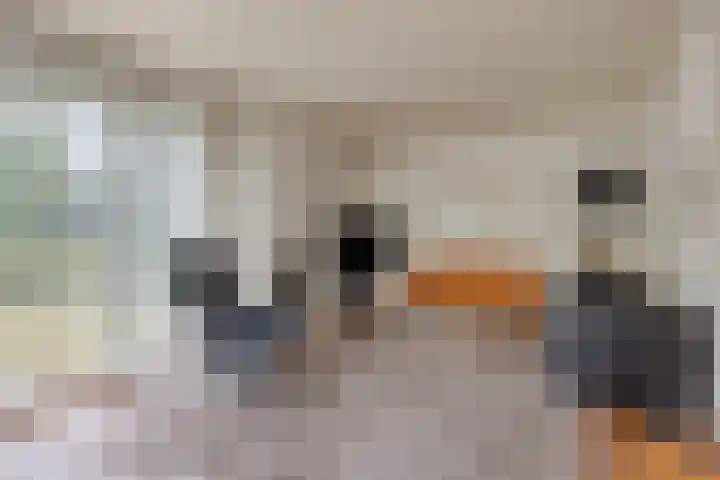 Sportlaan 15 Dongen thumbnail 14